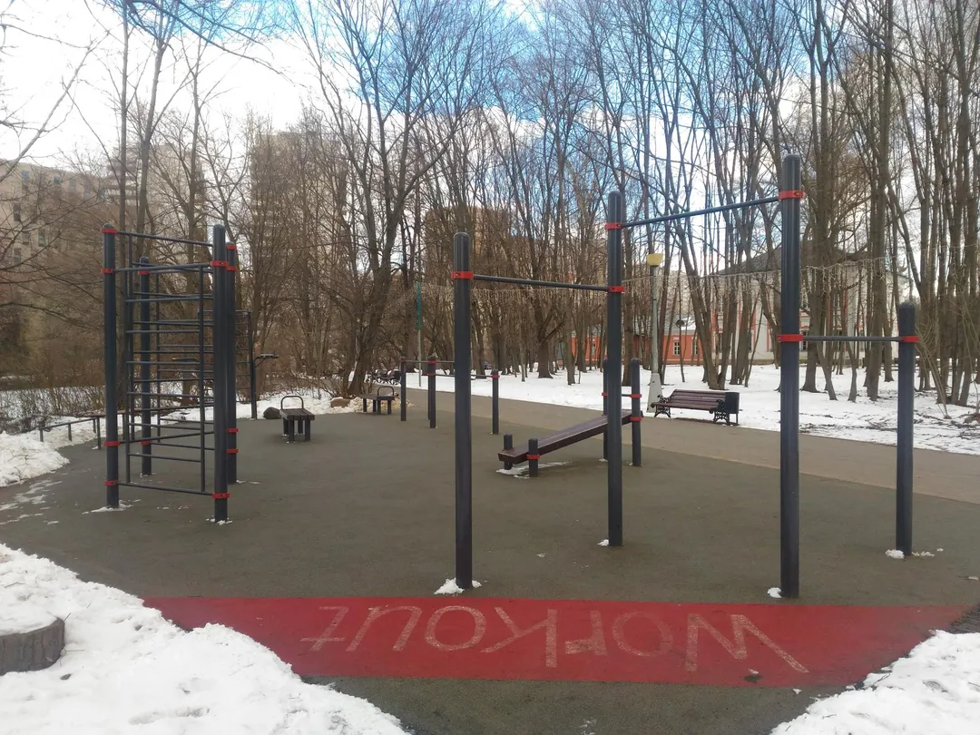 Espalier à Calisthenics Park at улица Академика Пилюгина, Москва #wp1714 – photo 2 sur 3