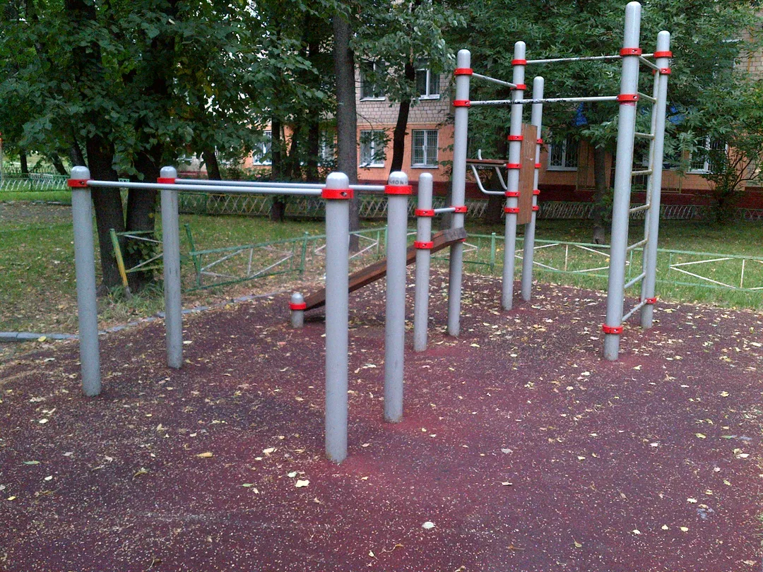 Spalier la Calisthenics Park at улица Лестева, Москва – fotografia 2 din 2