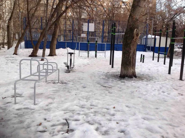 Бруси на майданчику Calisthenics Park at 2-я улица Синичкина, Москва – фото 1 з 3