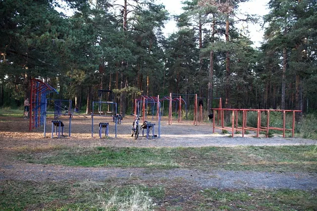 Calisthenics Park at Лесопарковая улица, Челябинск #wp1723