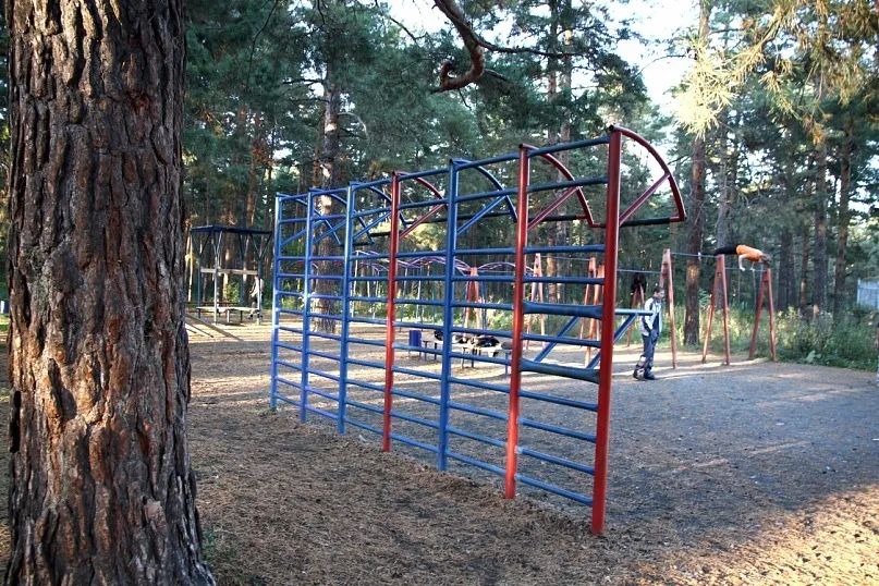 Рукохід на майданчику Calisthenics Park at Лесопарковая улица, Челябинск #wp1723 – фото 3 з 5