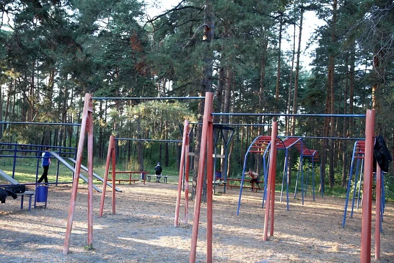 Турнік на майданчику Calisthenics Park at Лесопарковая улица, Челябинск #wp1723 – фото 4 з 5