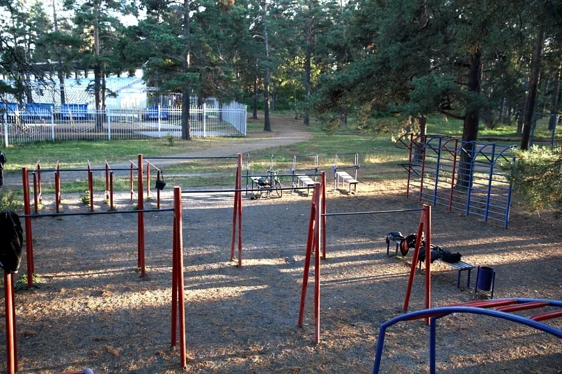 Шведська стінка на майданчику Calisthenics Park at Лесопарковая улица, Челябинск #wp1723 – фото 2 з 5