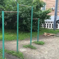 Calisthenics Park at Петровский бульвар, Москва - thumbnail 2