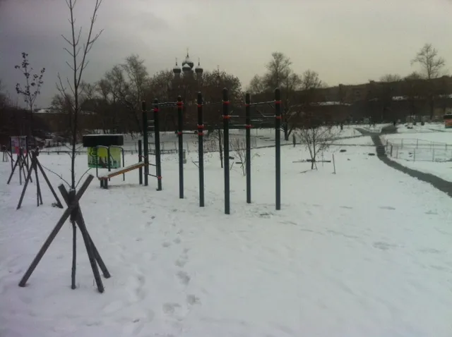 Бруси на майданчику Calisthenics Park at проспект Мира (дублёр), Москва – фото 1 з 1