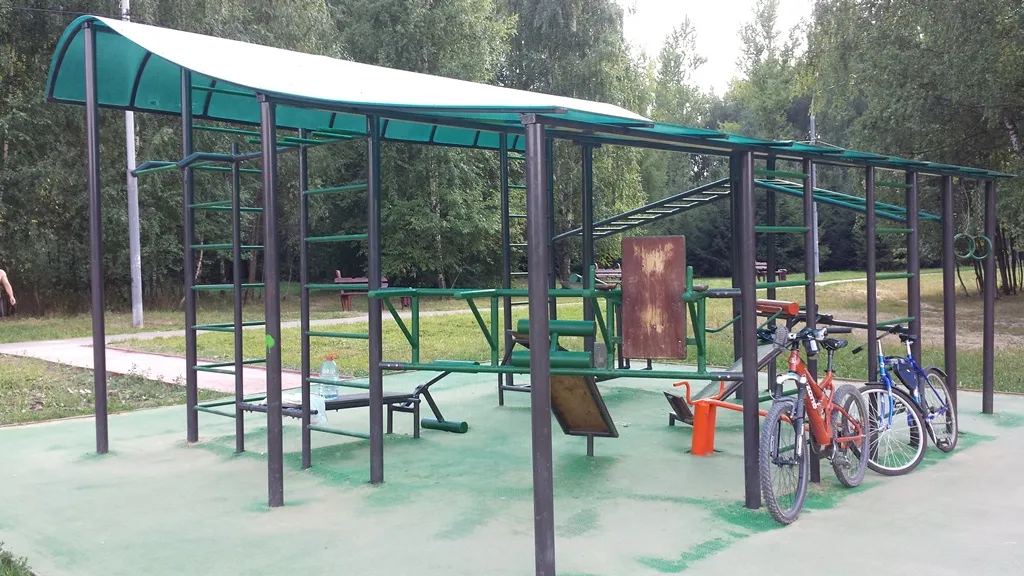 Monkey Bars la Calisthenics Park at улица Академика Анохина, Москва #wp1740 – fotografia 3 din 3