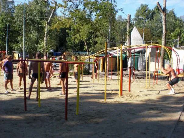 Monkey Bars la Calisthenics Park at проспект Науки, Харків – fotografia 2 din 5