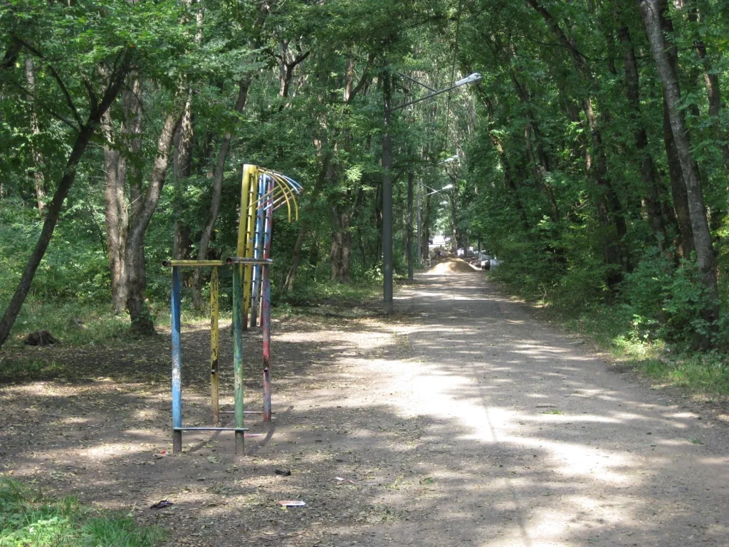 Sbarra per trazioni presso Calisthenics Park at улица Васильева, Ставрополь – foto 4 di 6