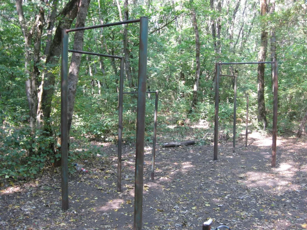 Parallele presso Calisthenics Park at улица Васильева, Ставрополь – foto 2 di 6