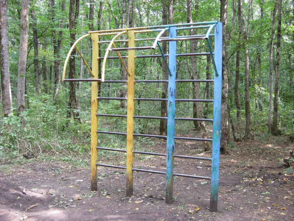 Monkey bar presso Calisthenics Park at улица Васильева, Ставрополь – foto 6 di 6