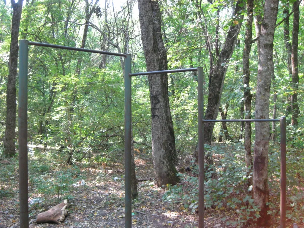 Sbarra per trazioni presso Calisthenics Park at улица Васильева, Ставрополь – foto 1 di 6