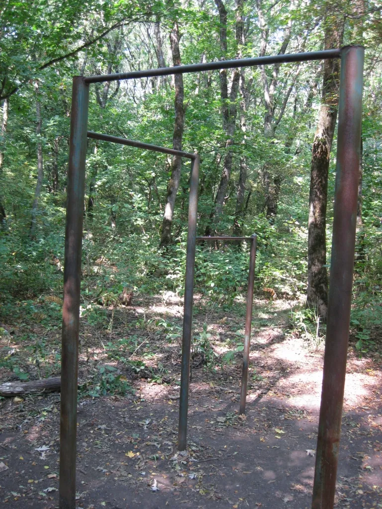 Monkey bar presso Calisthenics Park at улица Васильева, Ставрополь – foto 3 di 6