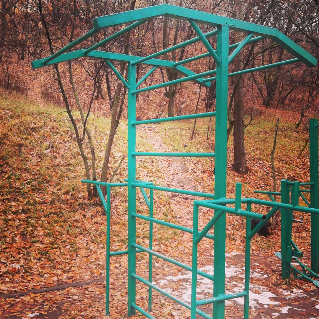 Barres parallèles à Calisthenics Park at Живописная улица, Москва – photo 6 sur 6