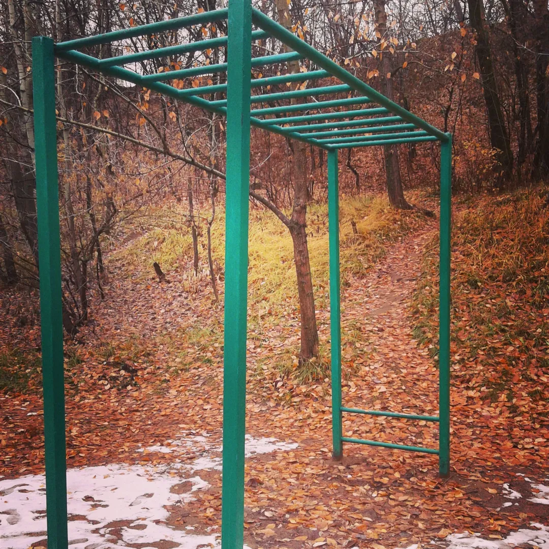 Barre de traction à Calisthenics Park at Живописная улица, Москва – photo 4 sur 6