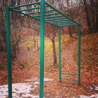 Calisthenics Park at Живописная улица, Москва - thumbnail 4