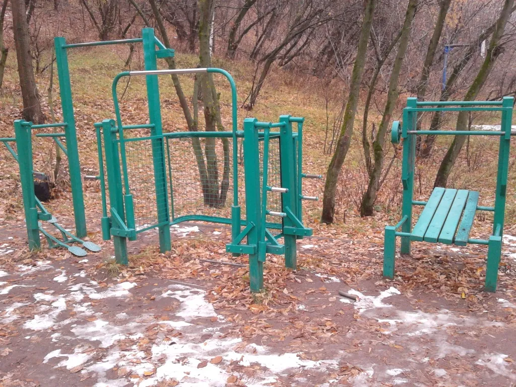 Barres de singe à Calisthenics Park at Живописная улица, Москва – photo 3 sur 6