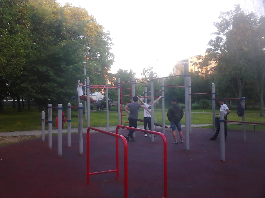 Bară de tracțiuni la Calisthenics Park at улица 800-летия Москвы, Москва – fotografia 1 din 2
