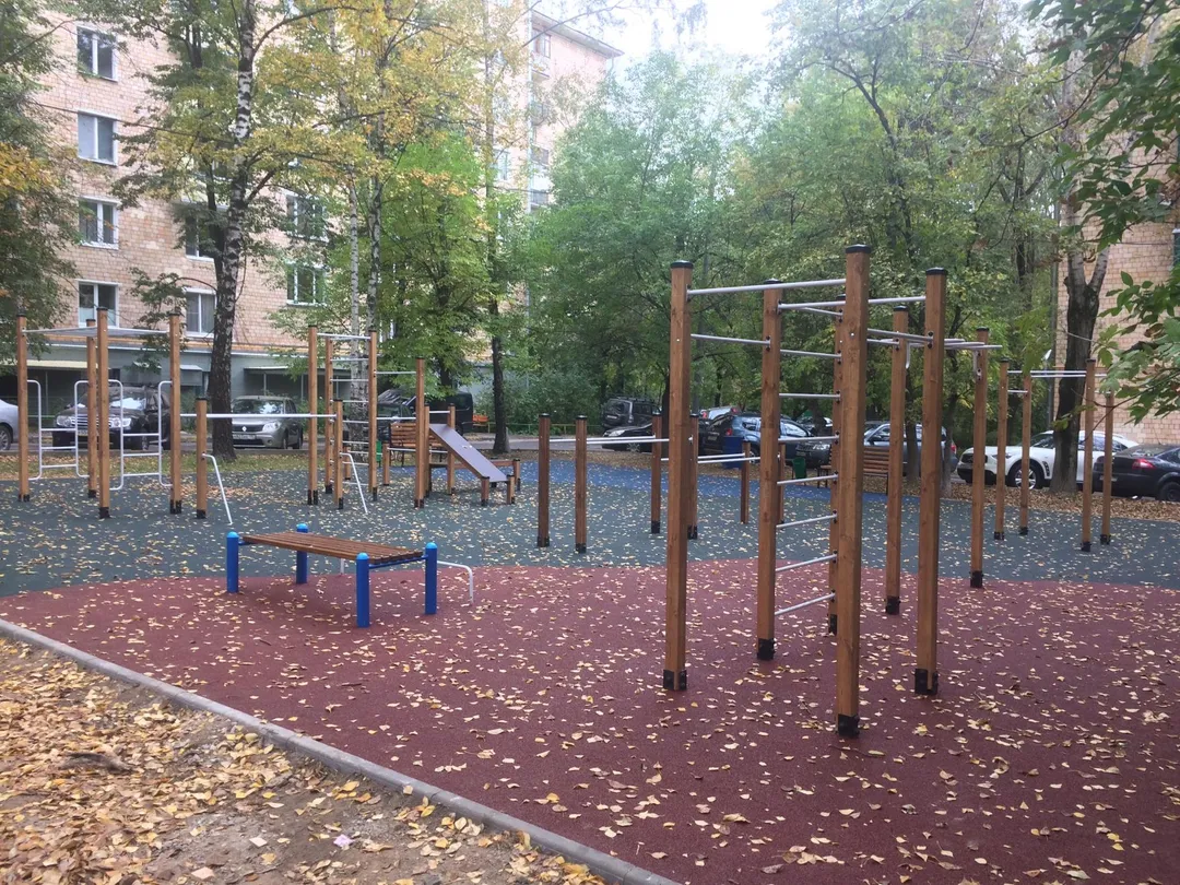 Barres de singe à Calisthenics Park at улица Марии Ульяновой, Москва – photo 3 sur 3