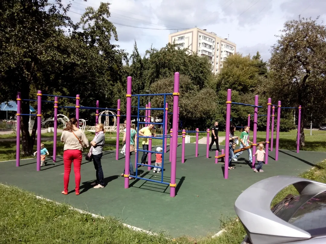 Barres parallèles à Calisthenics Park at Бакинская улица, Москва – photo 1 sur 1