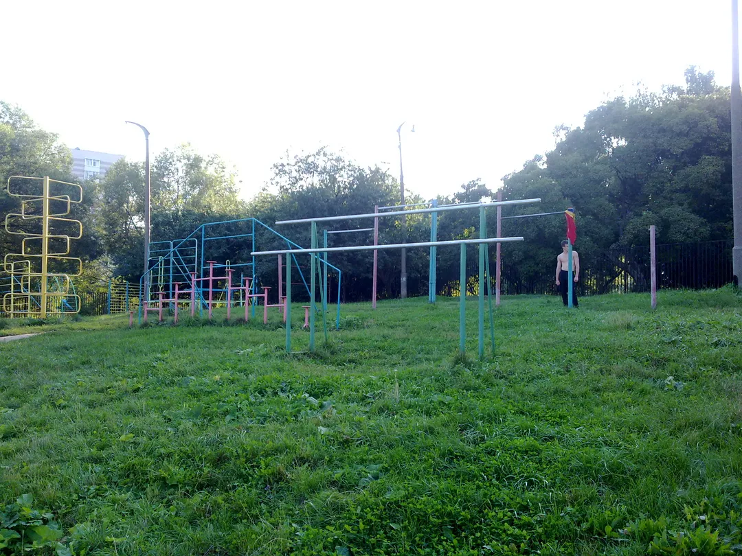 Barres de singe à Calisthenics Park at Вяземская улица, Москва – photo 6 sur 8