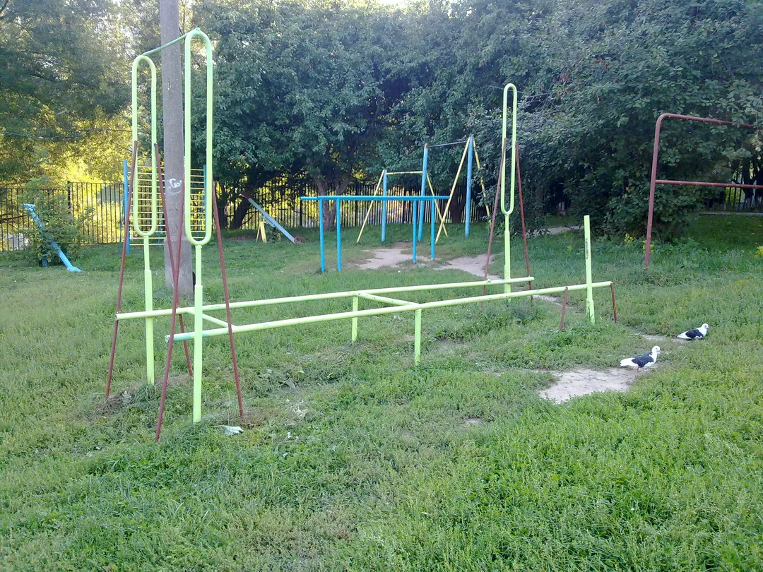 Espalier à Calisthenics Park at Вяземская улица, Москва – photo 8 sur 8