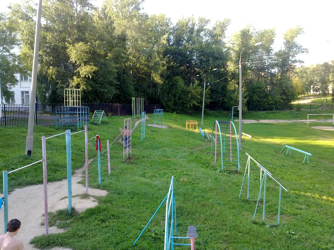 Barres de singe à Calisthenics Park at Вяземская улица, Москва – photo 2 sur 8
