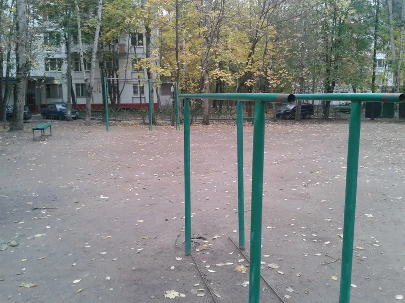 Barre de traction à Calisthenics Park at улица Академика Павлова, Москва – photo 1 sur 1