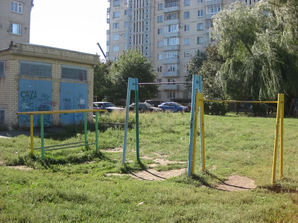Barres de singe à Calisthenics Park at улица Бруснева, Ставрополь – photo 2 sur 3