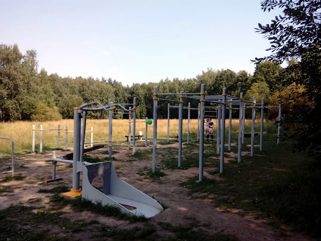 Bancă pentru abdomen la Calisthenics Park at Битцевская аллея, Москва – fotografia 2 din 2