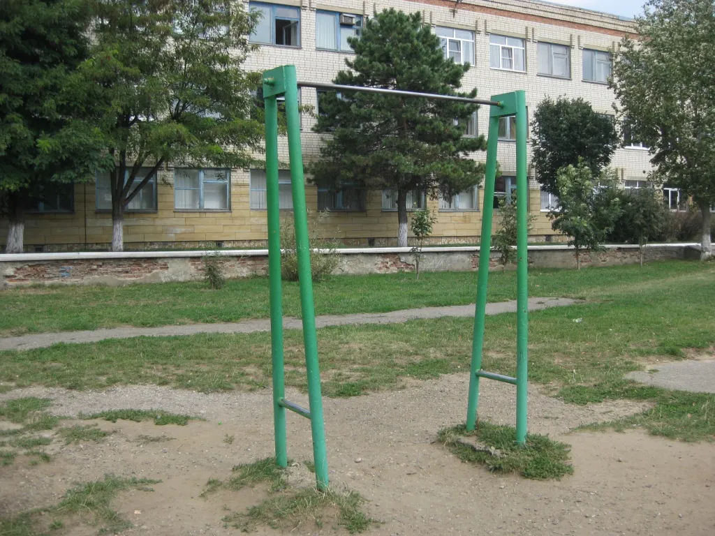 Monkey bar presso Calisthenics Park at улица Бруснева, Ставрополь #wp1775 – foto 6 di 8