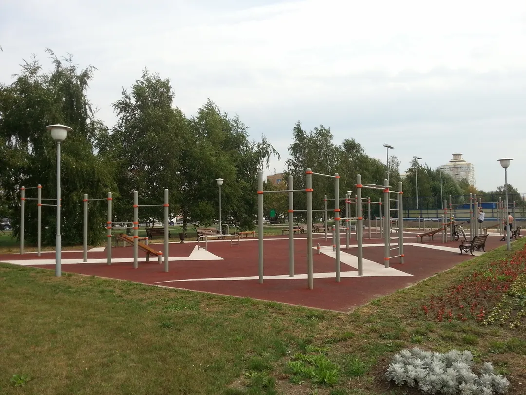 Рукохід на майданчику Calisthenics Park at улица Борисовские Пруды, Москва – фото 3 з 4