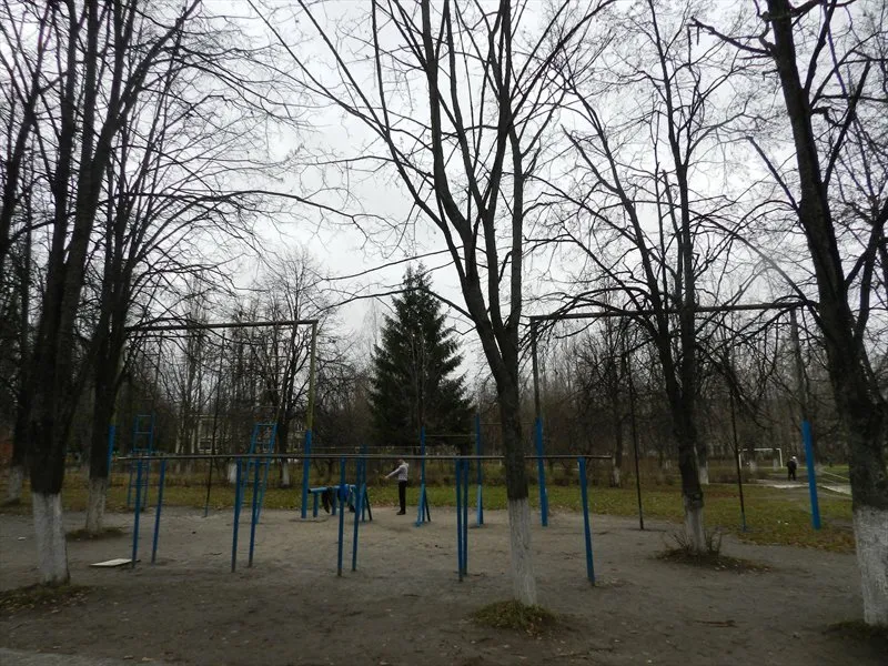 Barres de singe à Calisthenics Park at Курская улица, Железногорск – photo 2 sur 5