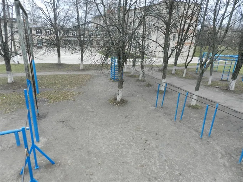 Espalier à Calisthenics Park at Курская улица, Железногорск – photo 4 sur 5