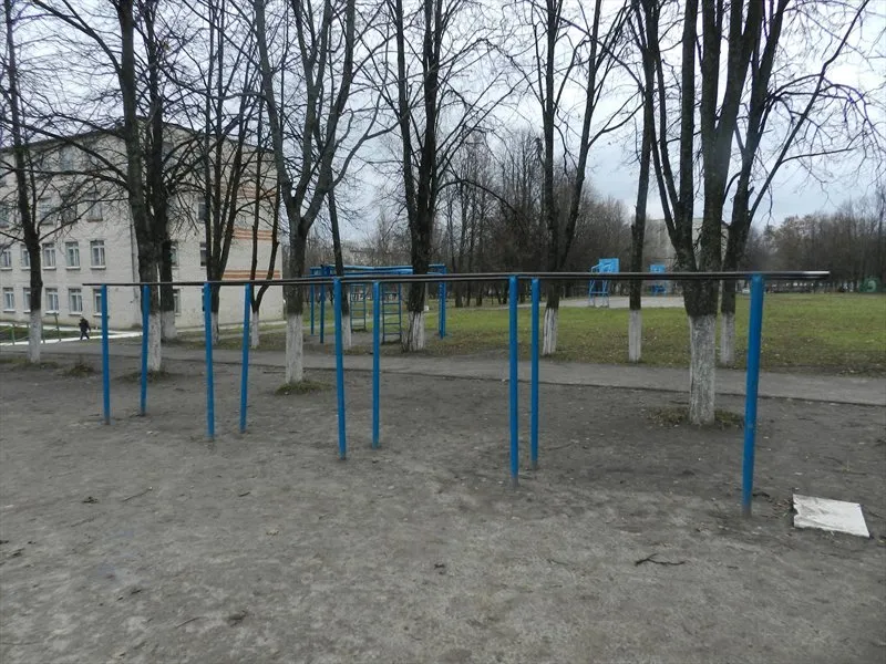 Barres parallèles à Calisthenics Park at Курская улица, Железногорск – photo 5 sur 5