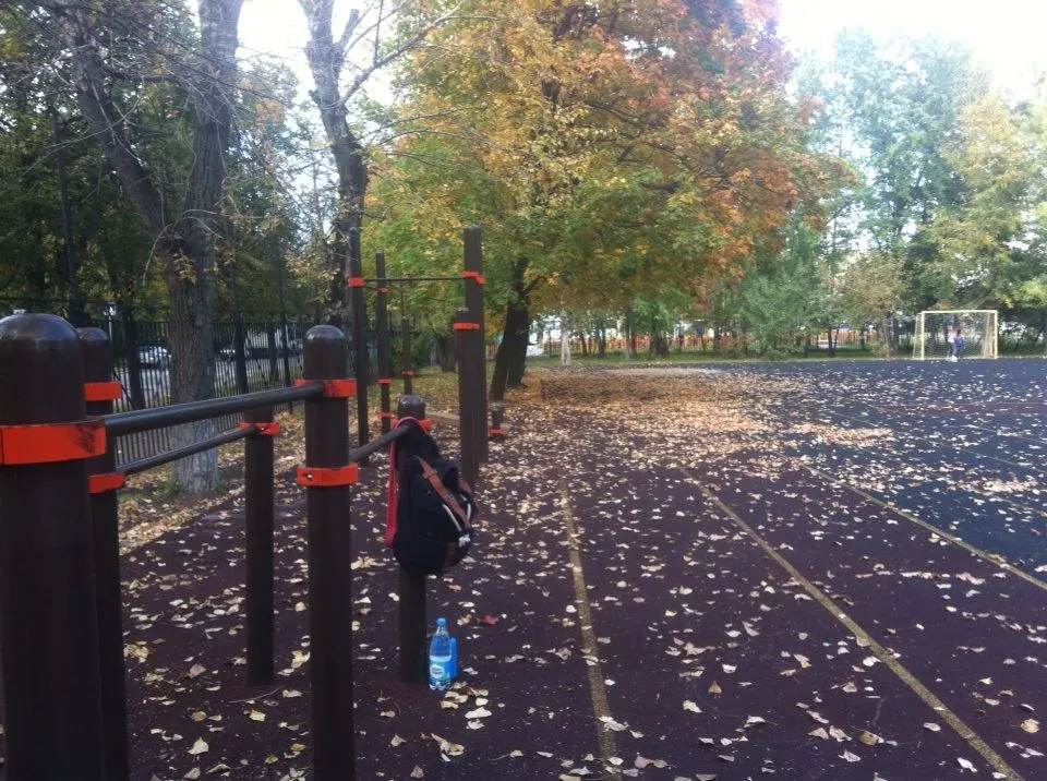 Barre de traction à Calisthenics Park at 11-я Парковая улица, Москва – photo 1 sur 3