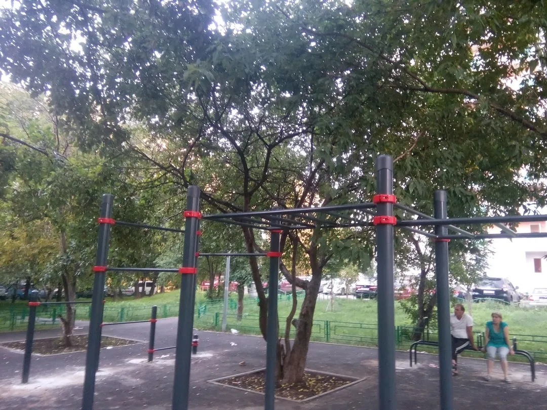 Barras de Mono en Calisthenics Park at Большая Академическая улица, Москва #wp1794 – foto 2 de 7