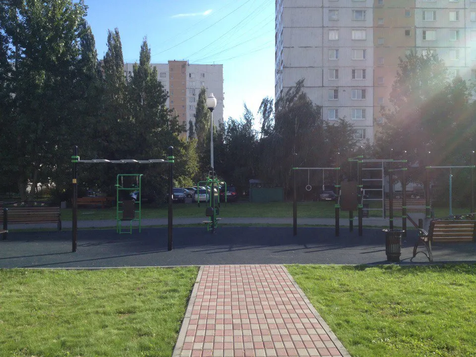 Wall Bars at Calisthenics Park at Шайдаровская улица, Москва – photo 2 of 2