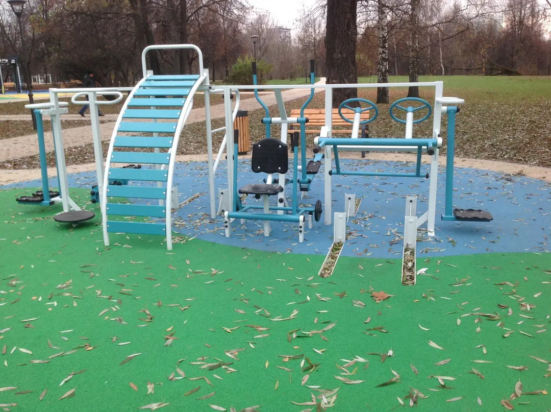 Monkey bar presso Calisthenics Park at Сиреневая аллея, Москва – foto 3 di 4