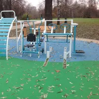 Calisthenics Park at Сиреневая аллея, Москва - thumbnail 3