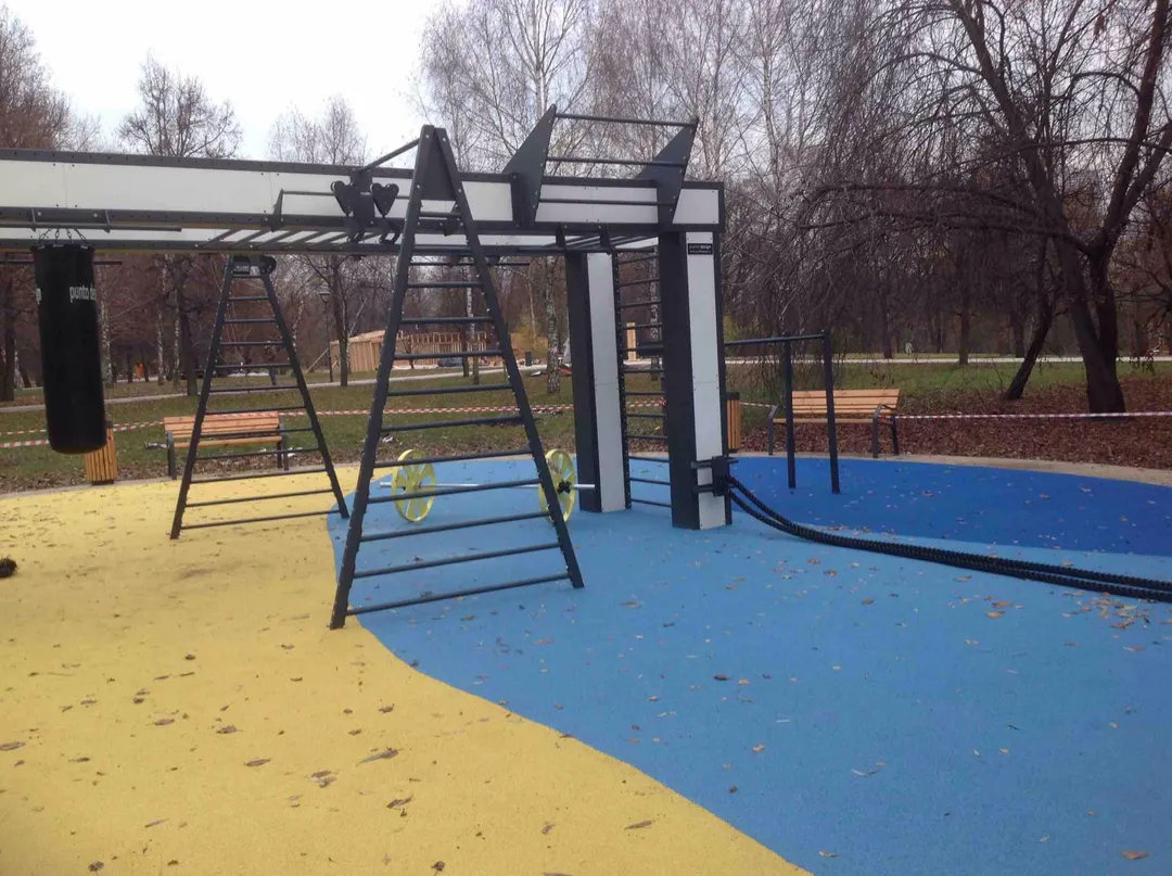 Parallele presso Calisthenics Park at Сиреневая аллея, Москва – foto 1 di 4