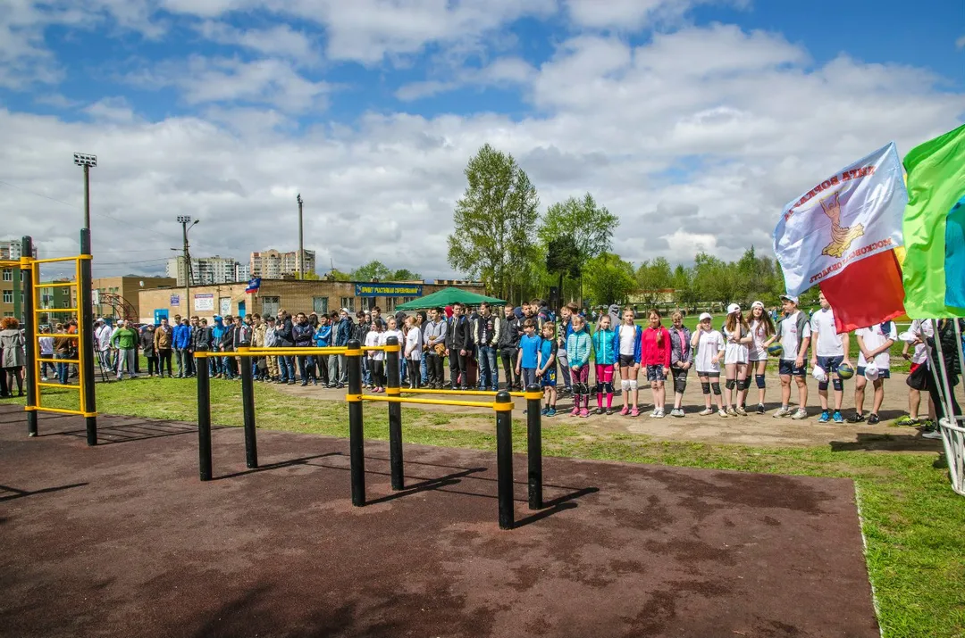Рукоход на площадке Calisthenics Park at Керамик, Балашиха – фото 2 из 2