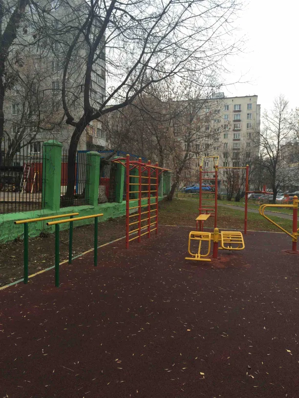 Bară de tracțiuni la Calisthenics Park at 2-я Сокольническая улица, Москва – fotografia 4 din 6