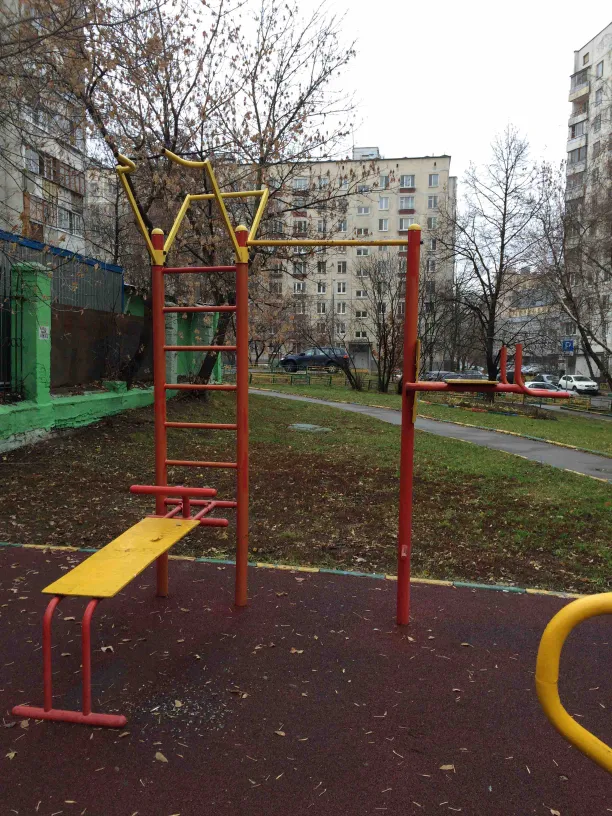 Bare paralele la Calisthenics Park at 2-я Сокольническая улица, Москва – fotografia 6 din 6