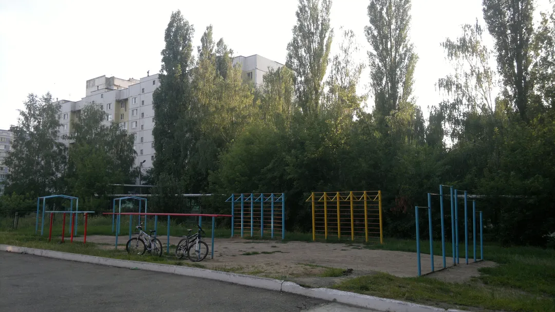 Wall Bars at Calisthenics Park at улица Новосёлов, городской округ Рязань – photo 2 of 8