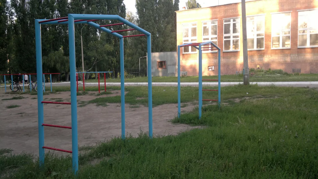 Wall Bars at Calisthenics Park at улица Новосёлов, городской округ Рязань – photo 8 of 8