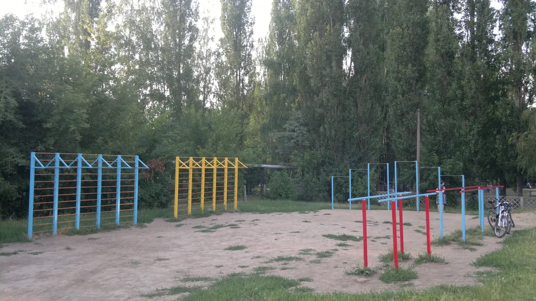Parallel Gym Bars at Calisthenics Park at улица Новосёлов, городской округ Рязань – photo 1 of 8