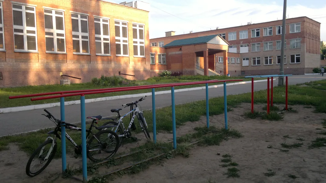 Wall Bars at Calisthenics Park at улица Новосёлов, городской округ Рязань – photo 5 of 8