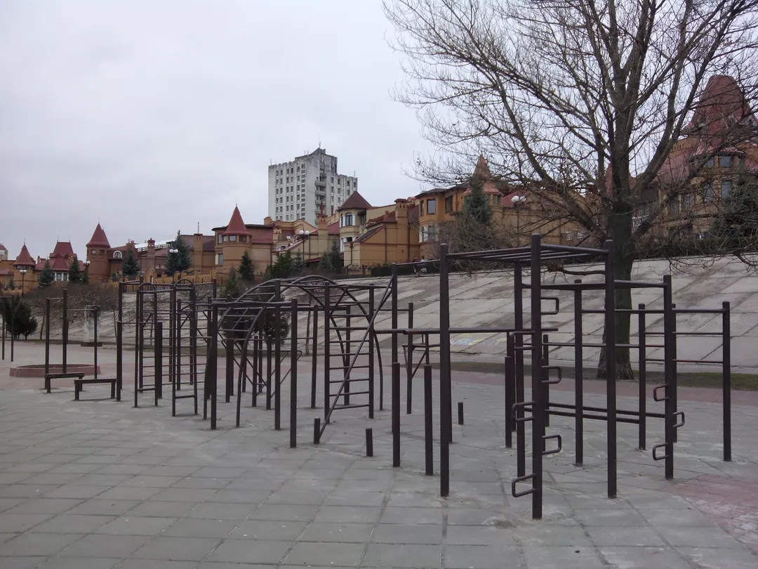Monkey Bars la Calisthenics Park at Оболонська набережна, Київ – fotografia 3 din 4