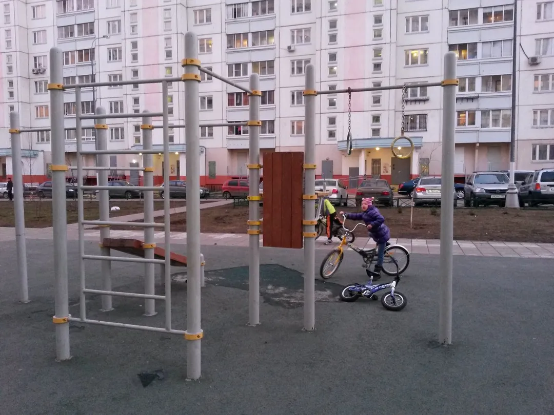 Parallel Gym Bars at Calisthenics Park at 1-я Северодонецкая улица, Москва – photo 1 of 4