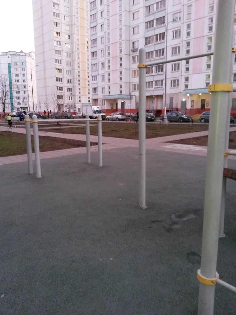 Wall Bars at Calisthenics Park at 1-я Северодонецкая улица, Москва – photo 2 of 4